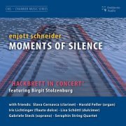 Birgit Stolzenburg - Moments of Silence (2023) Hi-Res