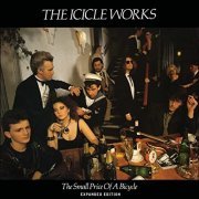 The Icicle Works - The Small Price of a Bicycle (Expanded Edition) (1985/2011)