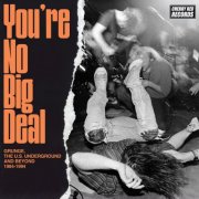 Various Artists - You're No Big Deal: Grunge, The U.S. Underground and Beyond 1984-1994 (2025)