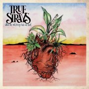 True Strays - Where the Wild Things Hide and Hunt (2018) Hi-Res