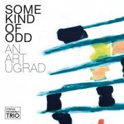 Stefan Frommelt Trio - Some Kind of Odd (2017)