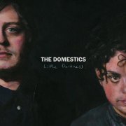 The Domestics - Little Darkness (2017)