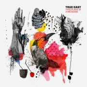 True East - This Place is a Message (2026) [Hi-Res]