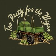 Matt Robertson - Too Pretty for the Wagon (2026) [Hi-Res]