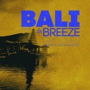 VA - Bali Breeze Grooves, Vol.12 (2026)