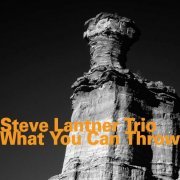 Steven Lantner - What You Can Throw (2006)