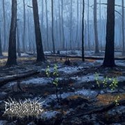 Clay and Fire - Cultivation (2025) Hi-Res