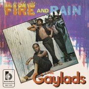 The Gaylads - Fire And Rain (2024) [Hi-Res]