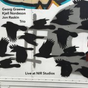 Jon Raskin - Georg Graewe, Kjell Nordeson, Jon Raskin Trio Live at NIR Studios (2024)