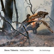 Steve Tibbetts - Hellbound Train: An Anthology (2022) [Hi-Res]