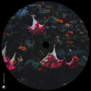 VA - 5 Years 04177 Records (2025)