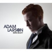 Adam Larson - Simple Beauty (2013)