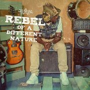 Koen Duncan - Rebel of a Different Nature (2016)