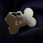 Ariane Roy - Dogue de Luxe (2026) Hi-Res