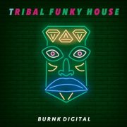 VA - Tribal Funky House (2026)