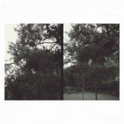 Okkyung Lee - just like any other day (어느날) : background music for your mundane activities (2025) [Hi-Res]