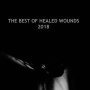 VA - The Best Of Healed Wounds 2018 (2019)