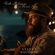 Velvet Saudade - Post Malone in Bossa Nova (Bossa Nova Remix) (2026)