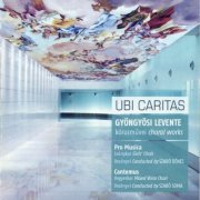 Dénes Szabo, Pro Musica - Ubi Caritas (2012)