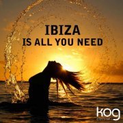 Franco de Mulero, Alex Laviano - Ibiza Is All You Need (2014)