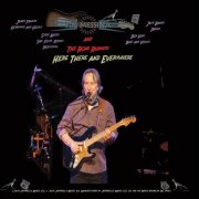 Jim Messina, The Road Runners - Here, There and Everywhere (Live) (2025)