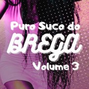 VA - Puro Suco do Brega Vol.3 (2024)