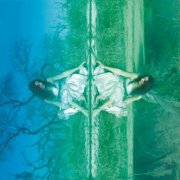 Olivia Foschi - A Window Within (2024)