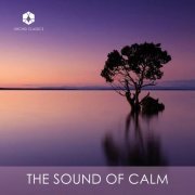 Orchid Classics Compilation - The Sound of Calm (2022) [Hi-Res]