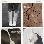 Georgia Lane - Somewhere Soft to Land (2026)