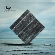 Fink - Perfect Darkness (2011) flac