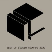 VA - Best of Delsin Records 2022 (2022)