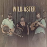 Wild Aster - Wild Aster (2025)