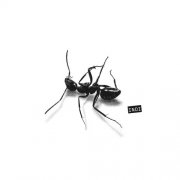 Gazzelle - INDI (2025) Hi-Res