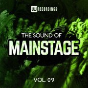 VA - The Sound Of Mainstage, Vol. 09 (2023) FLAC