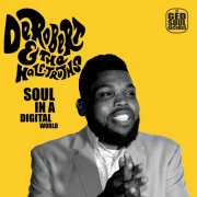 DeRobert & the Half-Truths - Soul In a Digital World (2010)