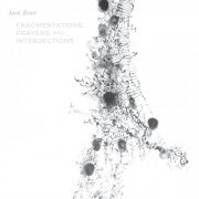 John Zorn - Fragmentations, Prayers And Interjections (2014)