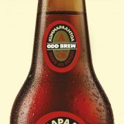 Odd Brew - Kummapaahtoa (2021)