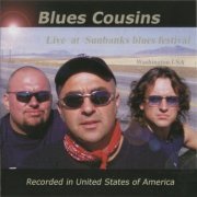 Blues Cousins - Live at Sunbanks Blues Festival (2019)