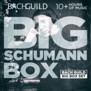 VA - Big Schumann Box (2015)