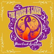 Goose Creek Symphony - The Goose Is Loose (1996)