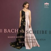 Marie Sophie Pollak, Max Volbers, Concerto Köln - Bach vs. Scheibe (2025)