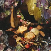 Chokecherry - Ripe Fruit Rots and Falls (2025) [Hi-Res]