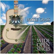 Wide Open Spaces - Beatle Grass (2023) Hi-Res