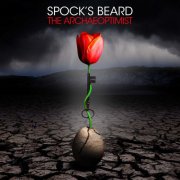 SPOCK’S BEARD - The Archaeoptimist (2025) Hi-Res