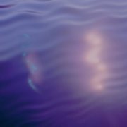 fuzzyy, river rainne - community acupuncture (2026)