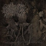 Bloodtied - Dismantling Neuroanatomy (2025) Hi-Res