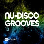 VA - Nu-Disco Grooves, Vol. 13 (2021) FLAC