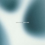 The Dharma Chain - Some Kind Of Pure State (2026) [Hi-Res]