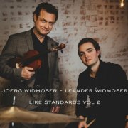 Joerg Widmoser - Like Standards, Vol. 2 (2024) Hi-Res