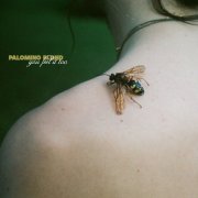 Palomino Blond - You Feel It Too (2024) [Hi-Res]